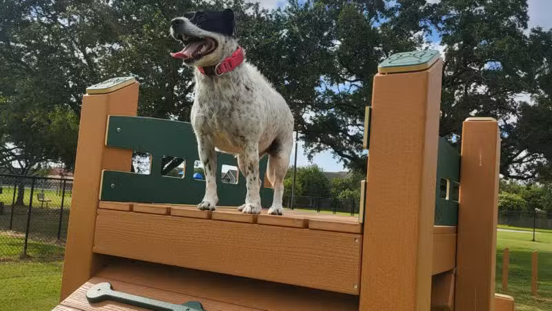 Texas City Dog Park - Texas City, TX