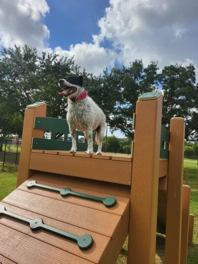 Texas City Dog Park - Texas City, TX