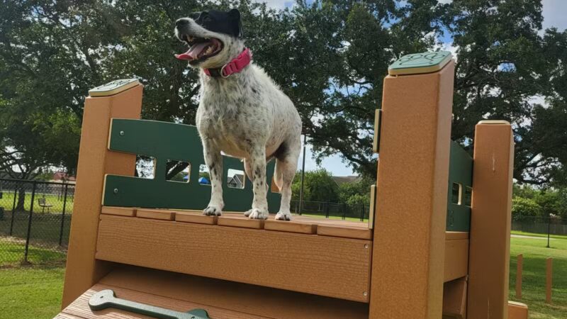 Texas City Dog Park - Texas City, TX