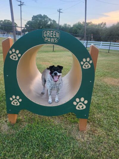 Texas City Dog Park - Texas City, TX