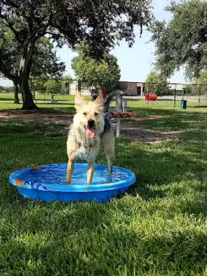 Texas City Dog Park - Texas City, TX