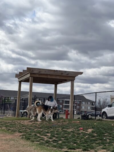 Duffys Dog Park - The Village, OK