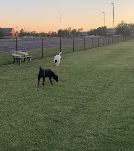 Duffys Dog Park - The Village, OK