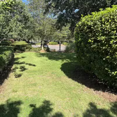 Dog park - The Villages, FL