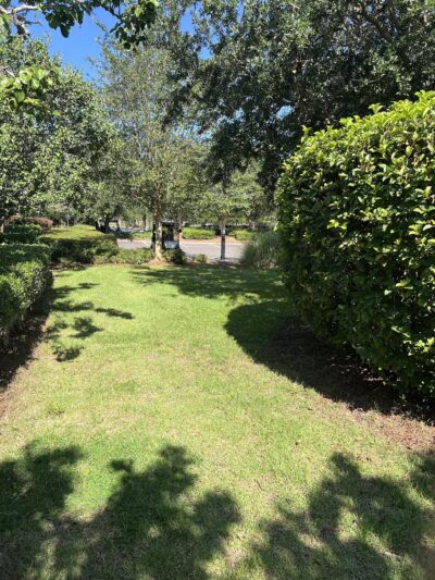 Dog park - The Villages, FL