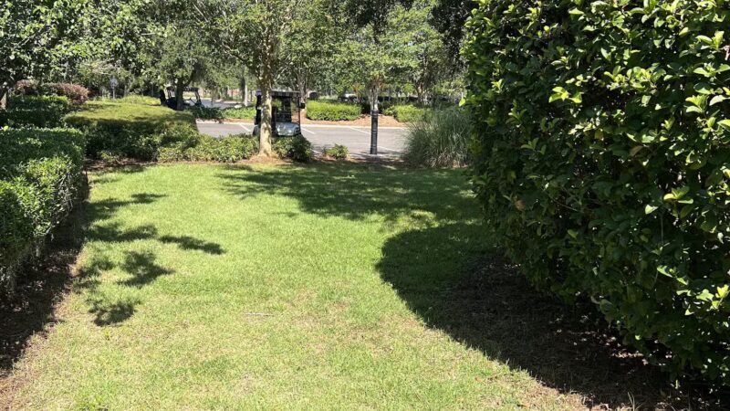 Dog park - The Villages, FL