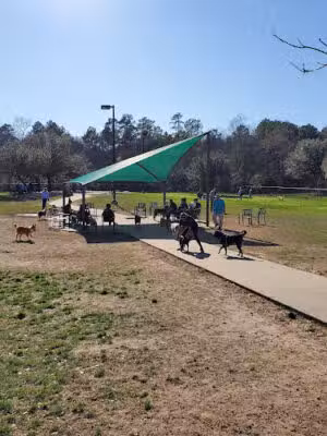 Cattail Park Dog Park - The Woodlands, TX