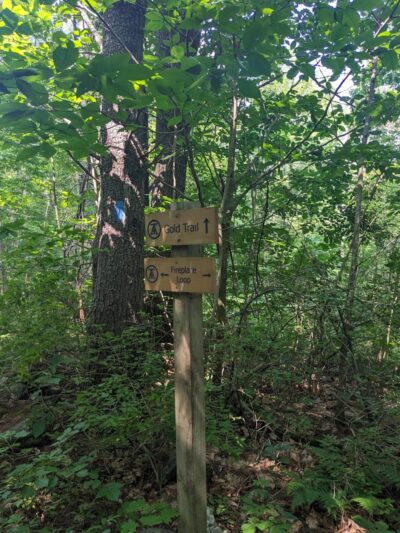 Thetford Hill State Park - Thetford Center, VT