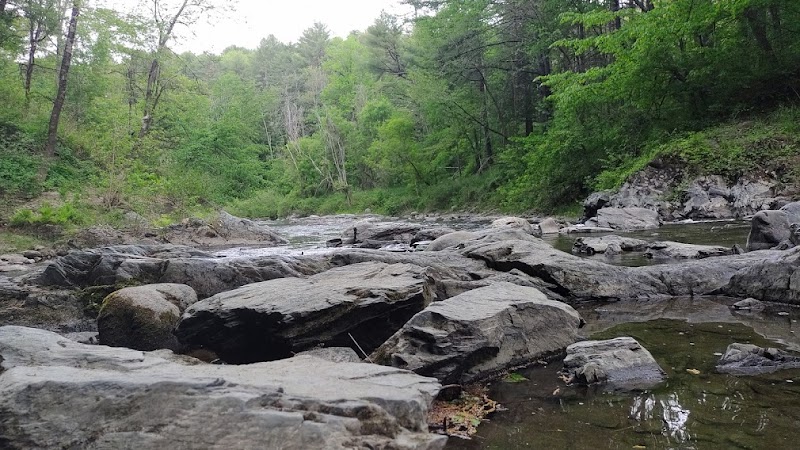 Thetford Hill State Park - Thetford Center, VT