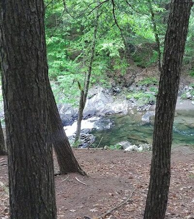 Thetford Hill State Park - Thetford Center, VT