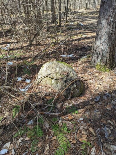 Thetford Hill State Park - Thetford Center, VT
