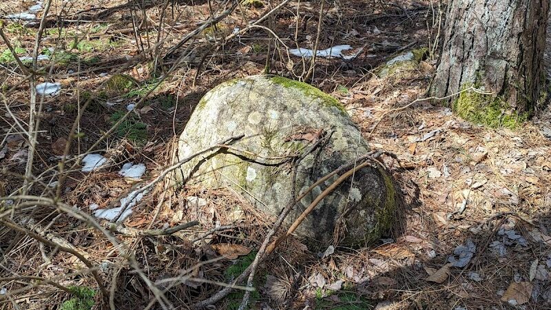 Thetford Hill State Park - Thetford Center, VT