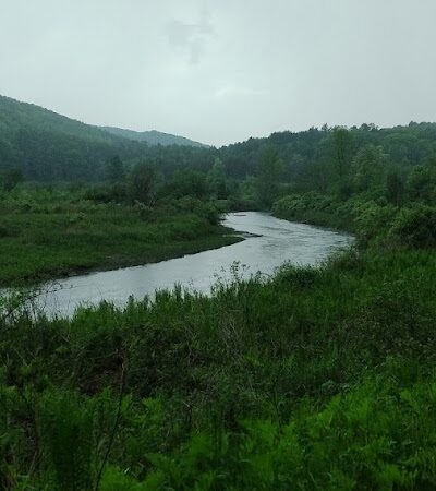 Thetford Hill State Park - Thetford Center, VT