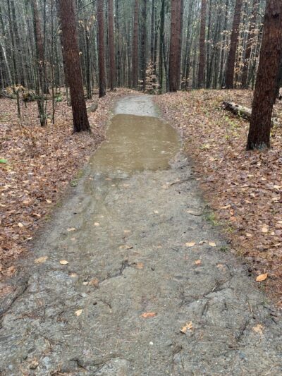Thetford Hill State Park - Thetford Center, VT