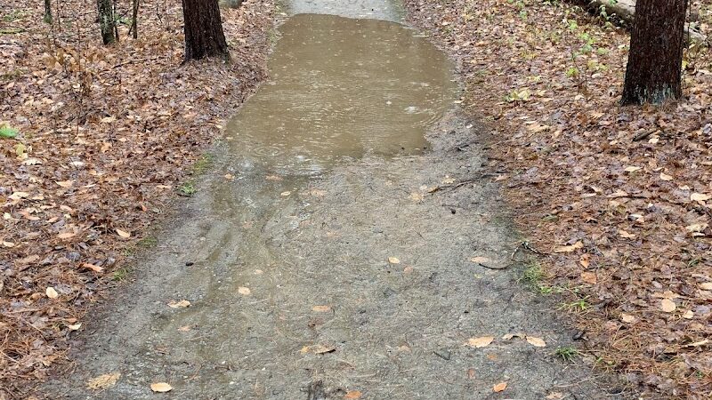 Thetford Hill State Park - Thetford Center, VT