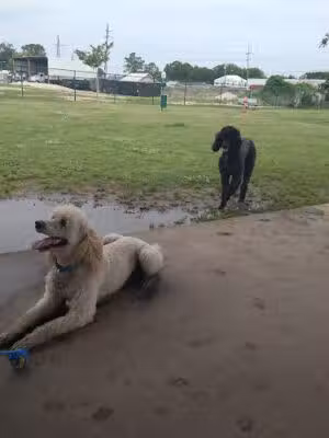 Norman Swanner Dog Park - Thibodaux, LA