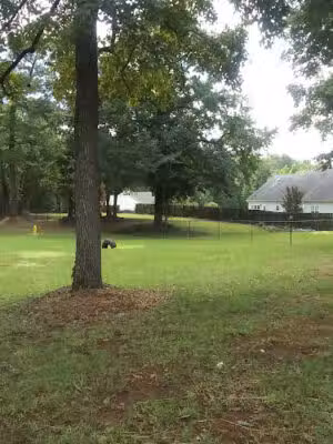 Thomaston Dog Park - Thomaston, GA