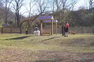 Nutro Dog Park - Thompson's Station, TN