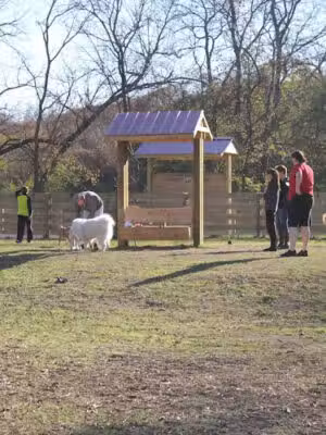 Nutro Dog Park - Thompson's Station, TN