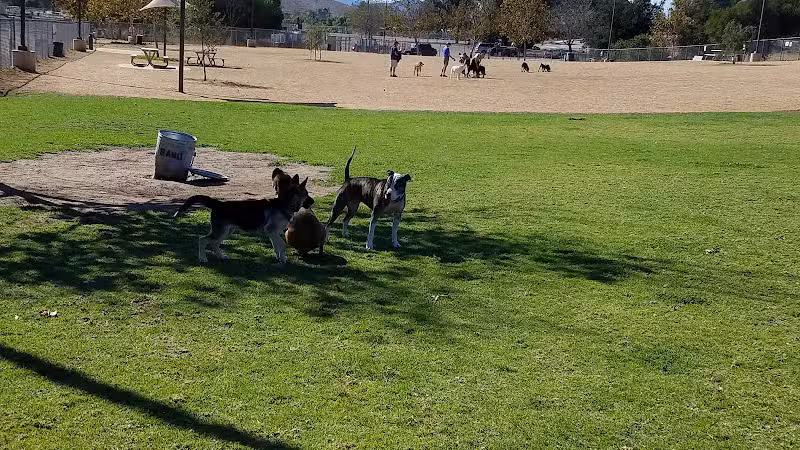 Conejo Creek Dog Park - Thousand Oaks, CA