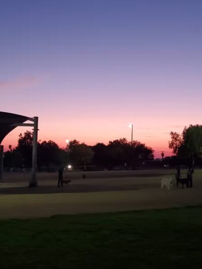 Conejo Creek Dog Park - Thousand Oaks, CA