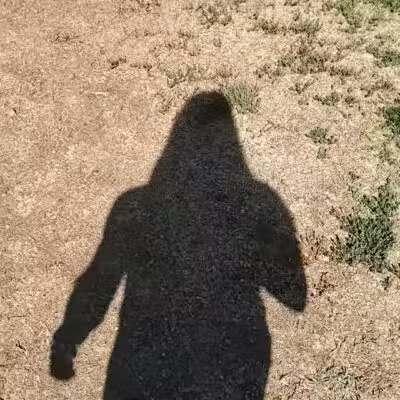 Conejo Creek Dog Park - Thousand Oaks, CA