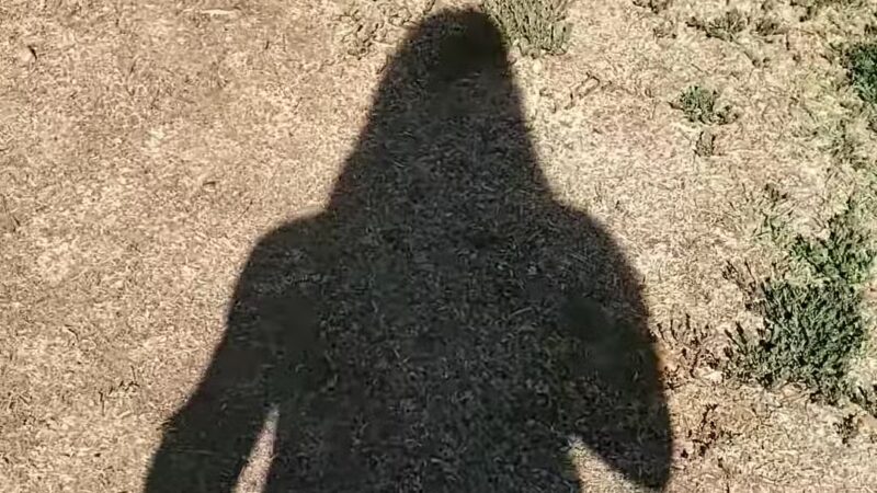 Conejo Creek Dog Park - Thousand Oaks, CA