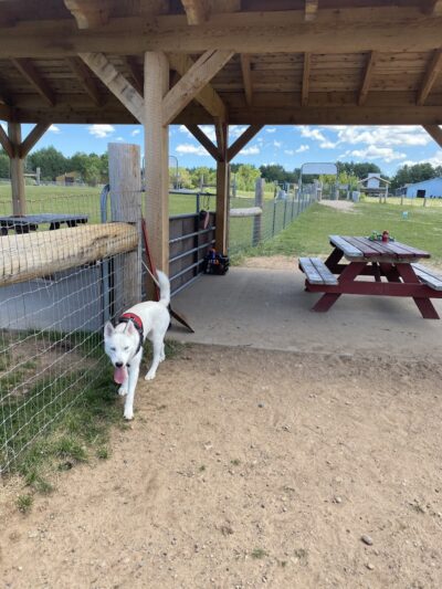 Three Lakes Dog Park - Three Lakes, WI