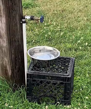 Three Lakes Dog Park - Three Lakes, WI