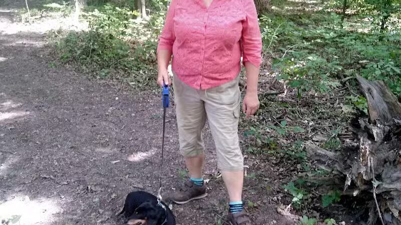 Flynn Woods Preserve - Three Oaks,