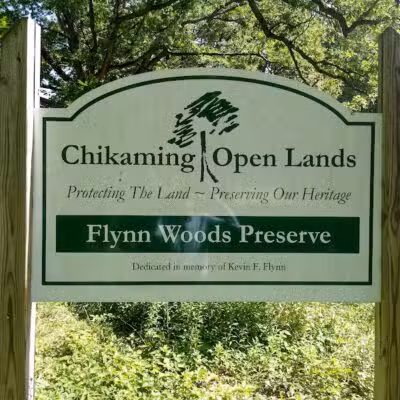 Flynn Woods Preserve - Three Oaks,