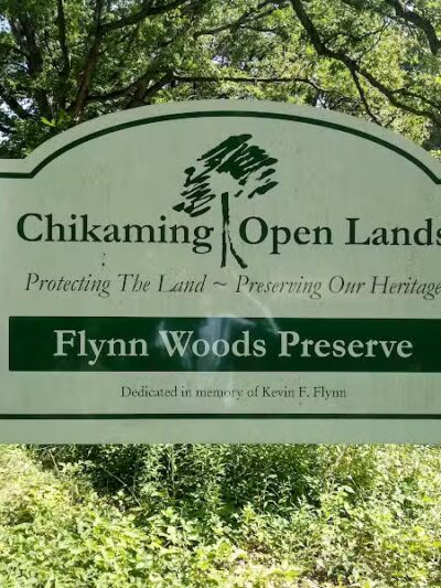 Flynn Woods Preserve - Three Oaks,