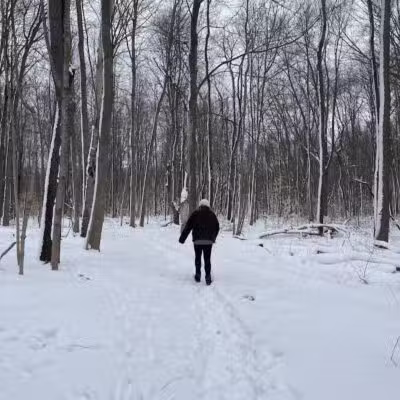 Flynn Woods Preserve - Three Oaks,
