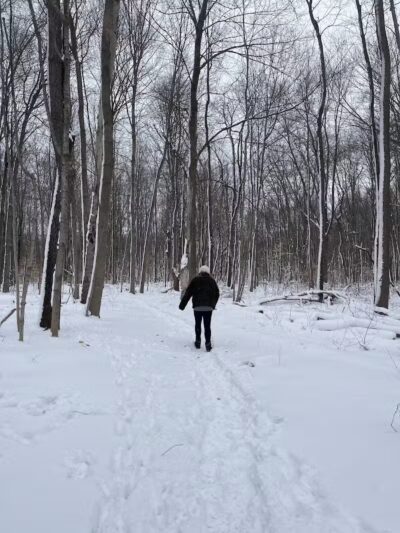 Flynn Woods Preserve - Three Oaks,