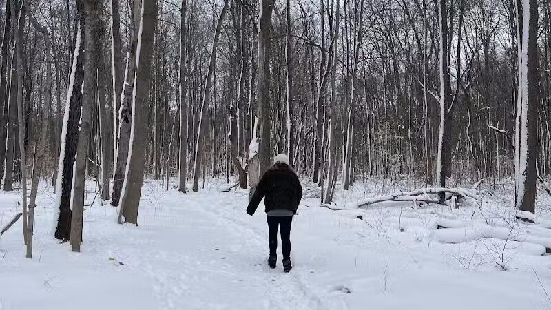 Flynn Woods Preserve - Three Oaks,