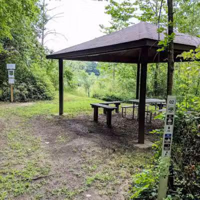 Harbert Road Preserve - Three Oaks,