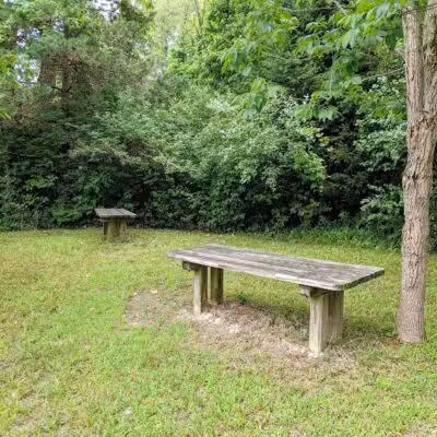 Harbert Road Preserve - Three Oaks,