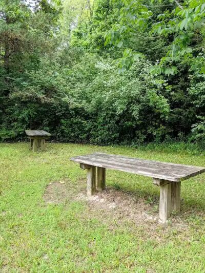 Harbert Road Preserve - Three Oaks,