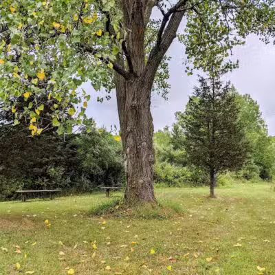 Harbert Road Preserve - Three Oaks,