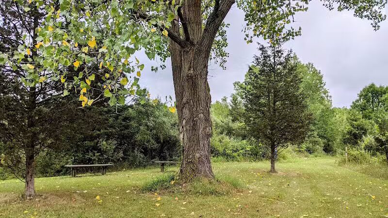 Harbert Road Preserve - Three Oaks,