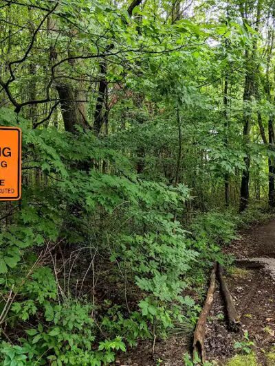 Harbert Road Preserve - Three Oaks,