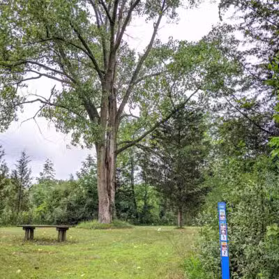 Harbert Road Preserve - Three Oaks,