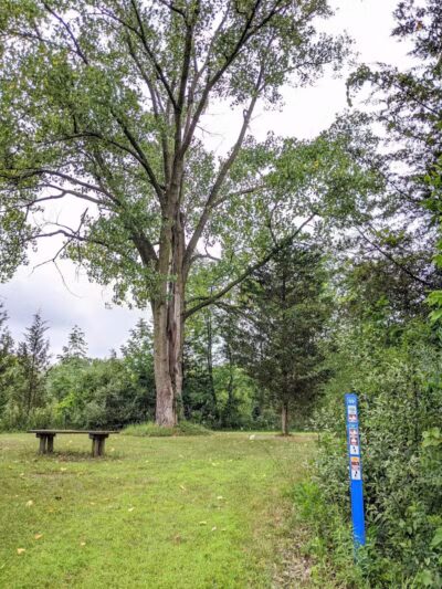 Harbert Road Preserve - Three Oaks,