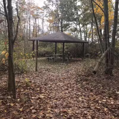 Harbert Road Preserve - Three Oaks,