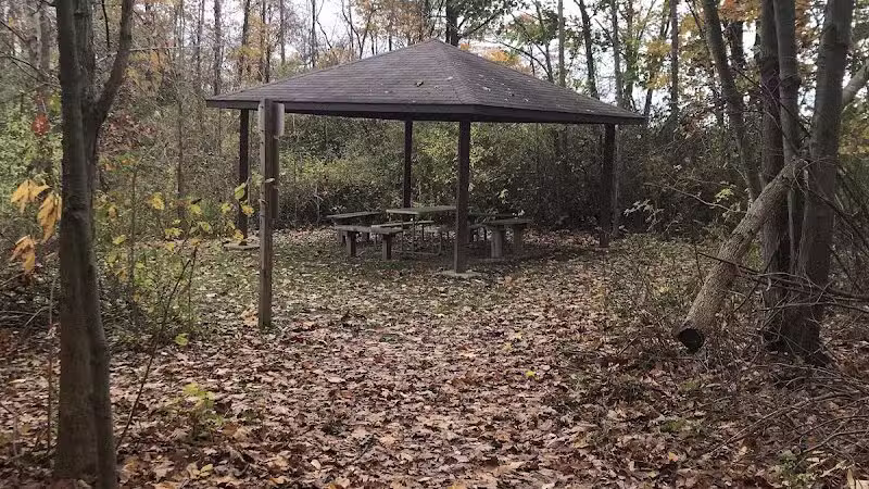 Harbert Road Preserve - Three Oaks,