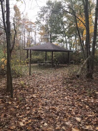 Harbert Road Preserve - Three Oaks,
