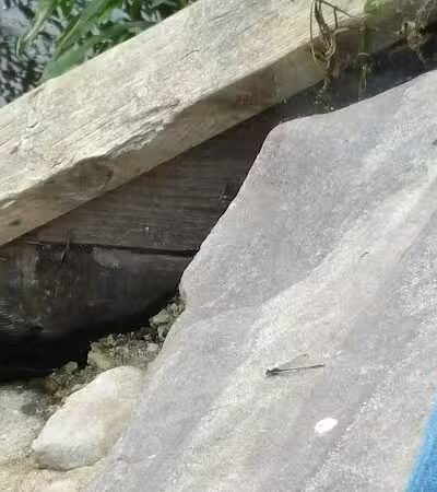 Hoshel Canoe County Park - Three Rivers,