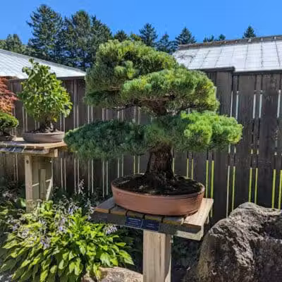 Hidden Lake Gardens - Tipton, MI