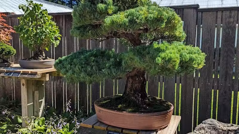 Hidden Lake Gardens - Tipton, MI