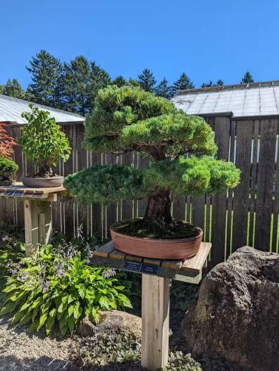 Hidden Lake Gardens - Tipton, MI